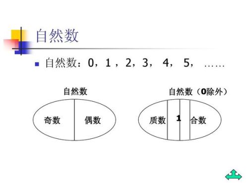 最新的自然数，探索与启示