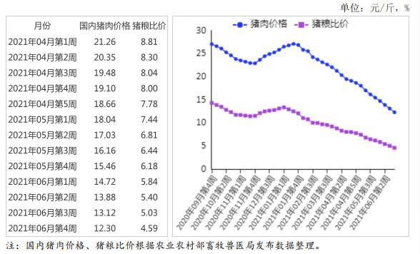 最新猪价动态，市场走势分析与预测