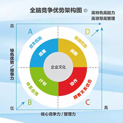 最新企业文化理念，塑造卓越组织的核心动力